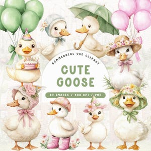 Watercolor Goose Clipart, Silly Goose Clipart, Birthday Goose Clipart, Goose Baby Birthday Party, Vintage Goose Png, Geese Clipart