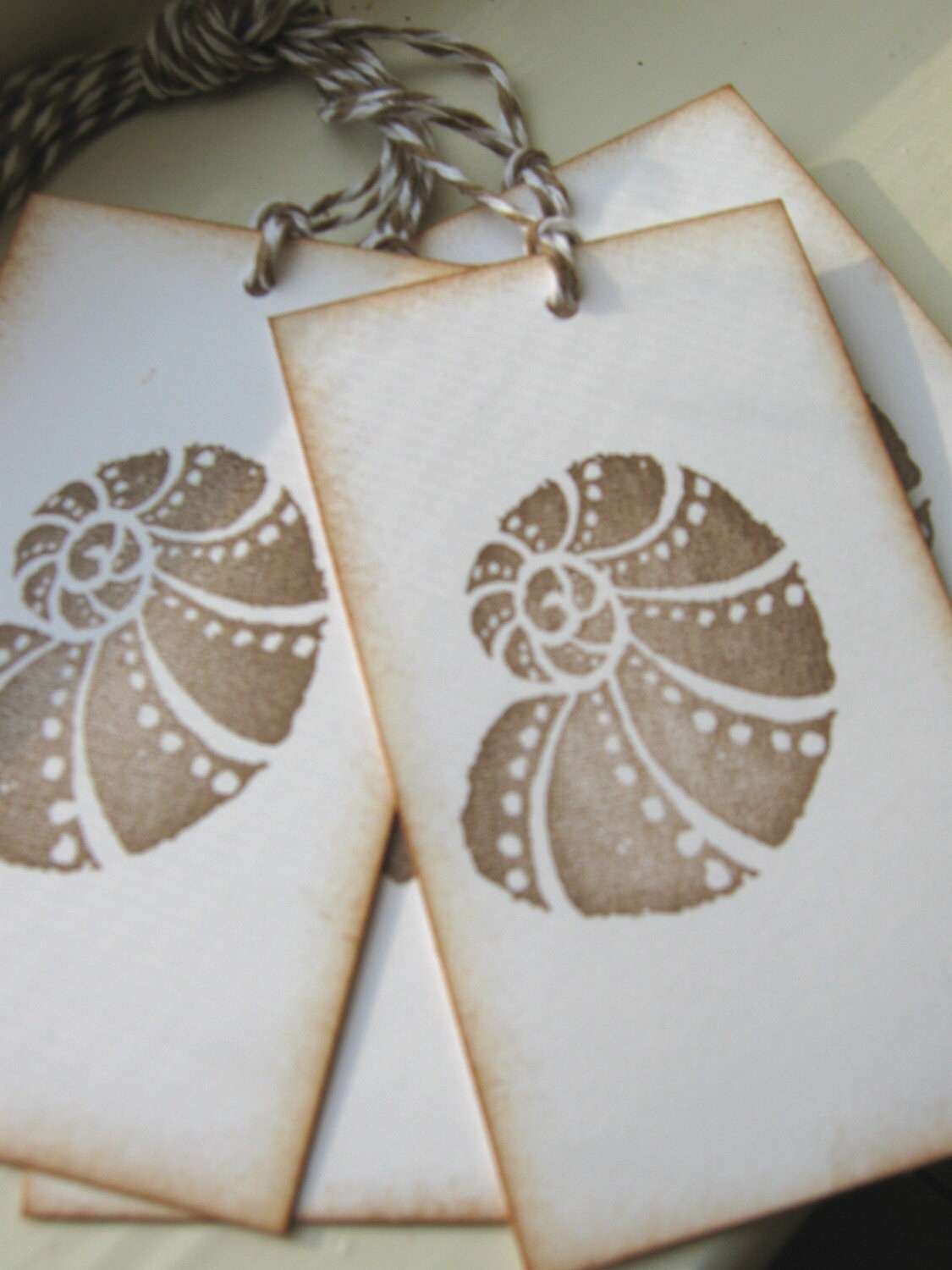 Nautilus, Seashell Gift Tags - Etsy