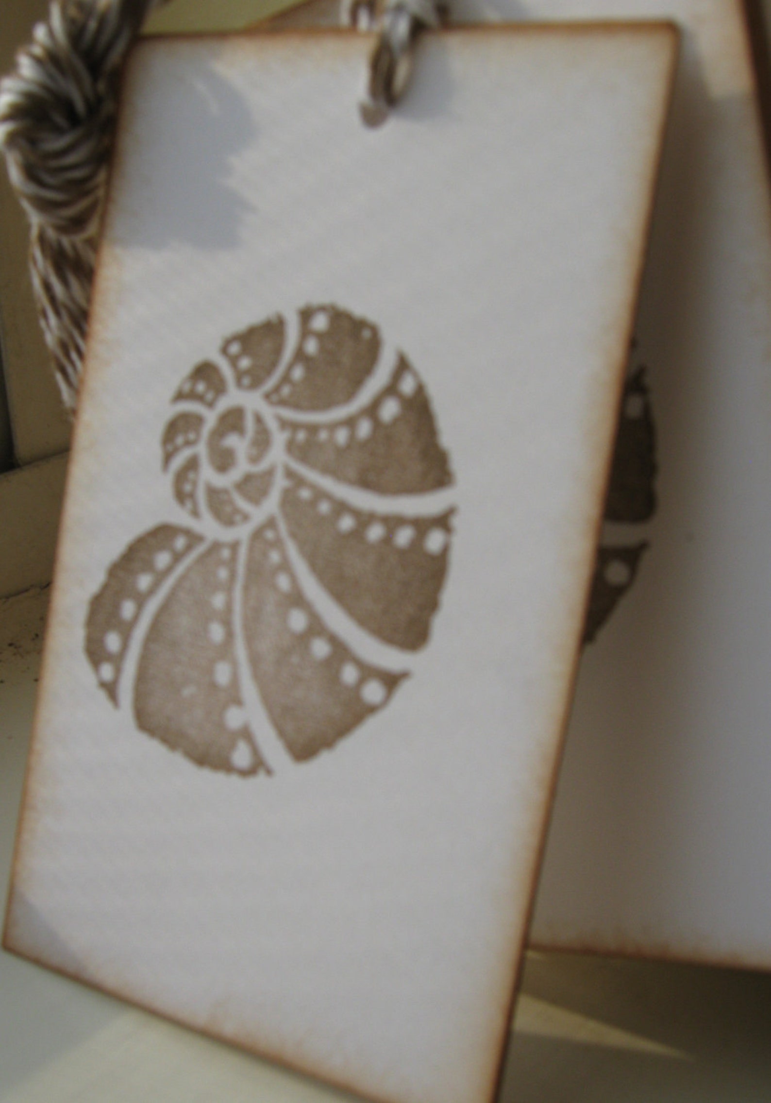 Nautilus, Seashell Gift Tags - Etsy