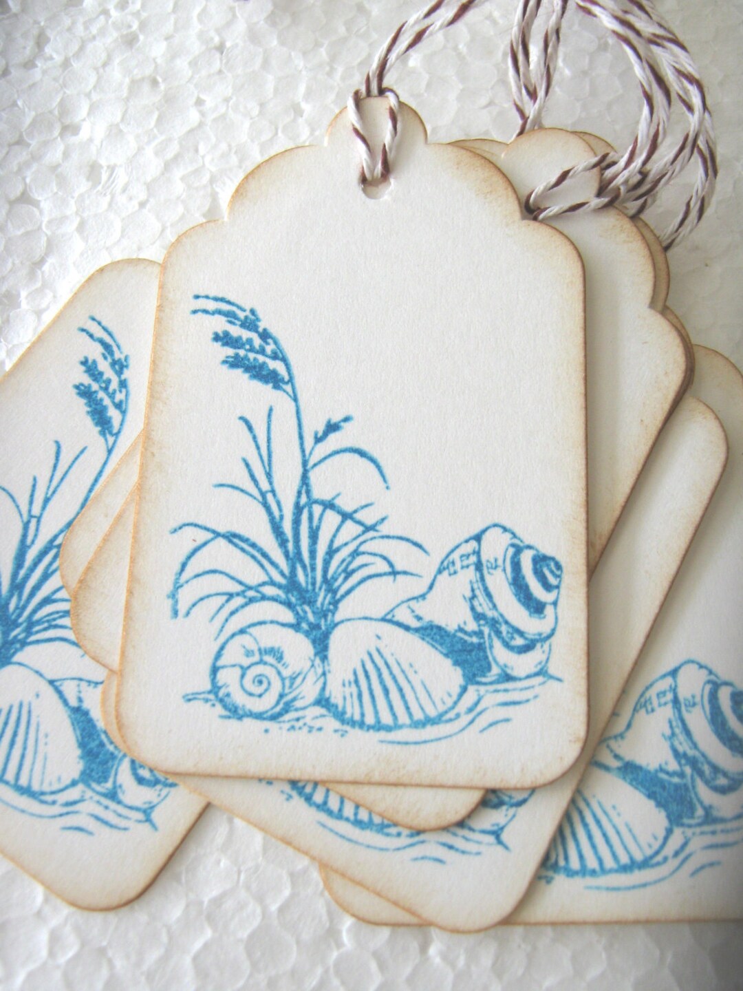 Seashell and Beach Grass Gift Tags - Etsy
