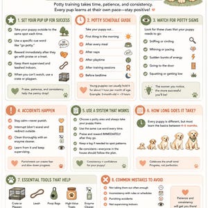 Może przedstawiać: Beżowo-zielona infografika zatytułowana Your Paw-Sitive Potty Training Guide z ilustracjami złotego szczeniaka. Zawiera osiem numerowanych sekcji z listami kontrolnymi, ikonami i instrukcjami szkolenia szczeniąt oraz tabelę wieku szczeniaka.