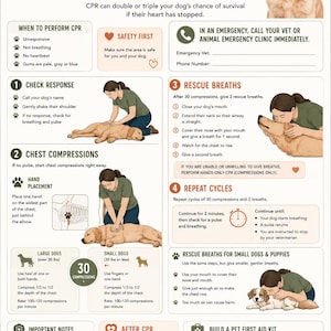 May include: An instructional poster titled DOGGIE CPR featuring a golden retriever, step-by-step guides for chest compressions and rescue breaths, emergency contact fields, and a checklist for a pet first aid kit, all presented in a clear, organized layout.