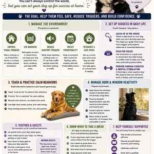 May include: An infographic titled In-Home Tips to Help Your Super Reactive Dog, featuring a black and white dog, a golden retriever, and seven numbered sections with icons and text providing advice on managing environment, behavior, and stress.