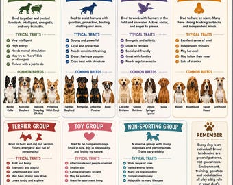 May include: An educational poster titled DOG BREED GROUPS and the Dogs in Them! featuring illustrations of various dog breeds categorized into groups like Herding, Working, Sporting, Hound, Terrier, Toy, and Non-Sporting with descriptions and traits.