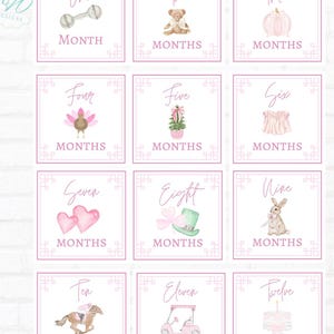 Tarjetas de hitos personalizadas de Pink Heirloom / Sonajero, oso, caballo balancín / Tarjetas mensuales