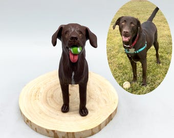 Personalized Dog Wedding Cake Topper, dog cake topper, dog caketopper Miniature，dog Figurines，CakeTopper，Animal Cake，pet clay sculpture
