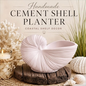May include: A light pink cement planter shaped like a nautilus shell. The text reads: Handmade CEMENT SHELL PLANTER COASTAL SHELF DECOR. The planter features a ribbed, spiraled surface texture and a smooth, open interior basin for holding small items.