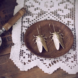 Cicada Song Earrings Brass Insect Jewelry image 5