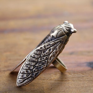 Lucky Cicada Ring Brass Statement Ring Bug Beetle Insect Jewelry Gift for Nature Lover image 3