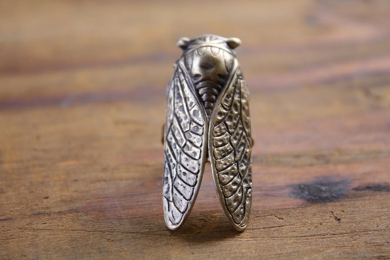 Lucky Cicada Ring Brass Statement Ring Bug Beetle Insect Jewelry Gift for Nature Lover image 4