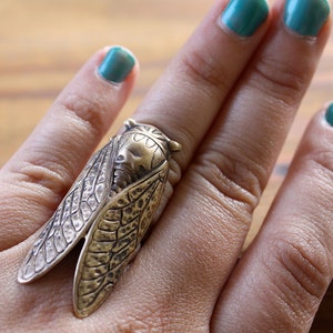 Lucky Cicada Ring Brass Statement Ring Bug Beetle Insect Jewelry Gift for Nature Lover image 5