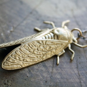 Cicada Metamorphosis Necklace