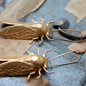 Cicada Metamorphosis Insect Earrings image 5