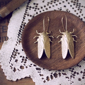 Cicada Song Earrings - Brass Insect Jewelry