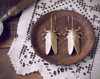 Cicada Song Earrings - Brass Insect Jewelry