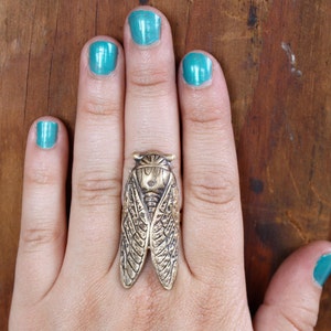 Lucky Cicada Ring Brass Statement Ring Bug Beetle Insect Jewelry Gift for Nature Lover image 2