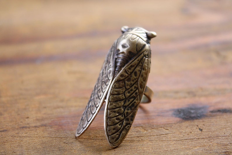 Lucky Cicada Ring Brass Statement Ring Bug Beetle Insect Jewelry Gift for Nature Lover image 1