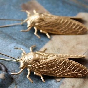 Cicada Metamorphosis Insect Earrings image 4