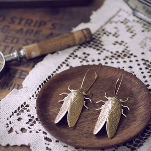 Cicada Song Earrings Brass Insect Jewelry image 2