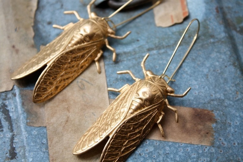 Cicada Metamorphosis Insect Earrings image 3