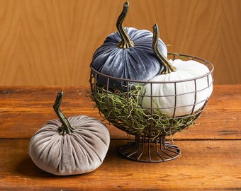 SMALL velvet pumpkin & wire pedestal bowl table centerpiece for dining table, rustic kitchen decor for counter, taupe decor, white pumpkin