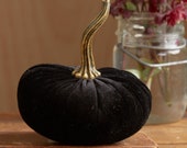 Small Velvet Pumpkin Black, modern rustic mantle decor, wedding centerpiece, engagement party favors, farmhouse decor, best selling items