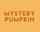 Mystery Pumpkin FREE SHIPPING, closeout colors, not quite perfects, modern rustic fall mantle decor, farmhouse centerpiece decor