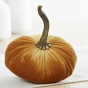 May include: A golden velvet pumpkin with a brown stem. The pumpkin is a decorative item for fall and autumn.