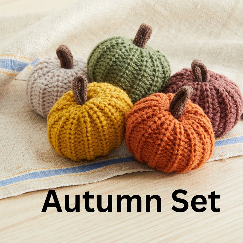 Set of 5 Mini Knit Pumpkins, Autumn Bowl Filler, Decorative Pumpkin for table, Fall Pumpkin Tray Decor for Coffee Table, Farmhouse Mantel image 3