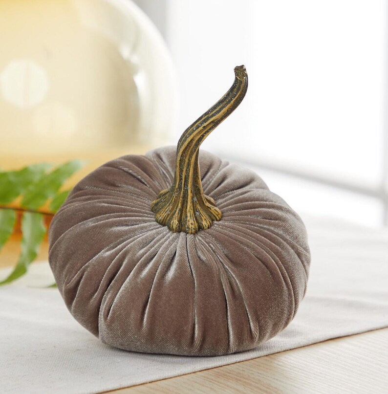 May include: A decorative, plush pumpkin in a muted grey colour. The pumpkin has a ribbed texture and a detailed, curved stem with brown and gold tones. This autumn-themed accent piece is perfect for seasonal home decor.