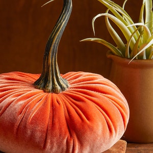 May include: A plush velvet pumpkin with a black and gold stem. The pumpkin is a vibrant orange color and is sitting on a wooden surface.