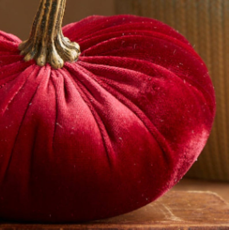 Small Velvet Pumpkin Red Rustic Coffee Table Decor Modern Etsy