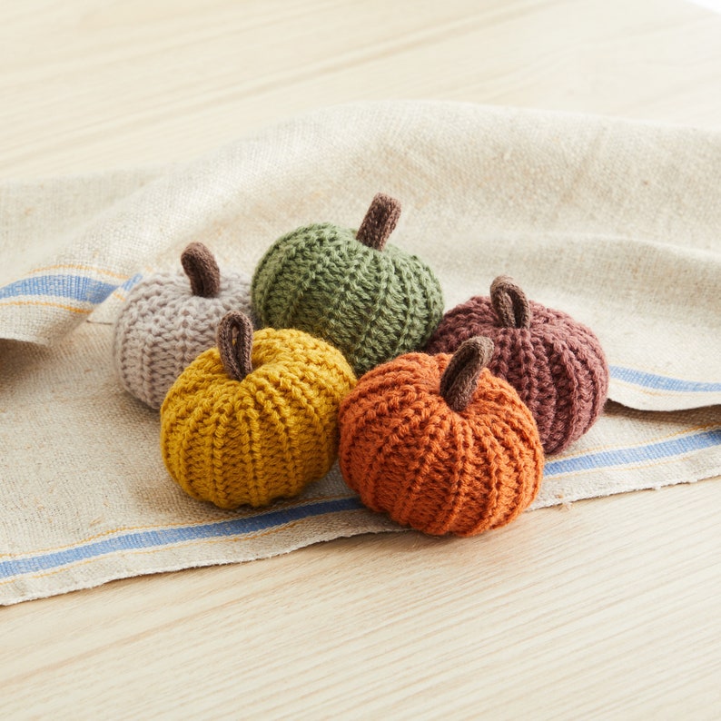 Set of 5 Mini Knit Pumpkins, Autumn Bowl Filler, Decorative Pumpkin for table, Fall Pumpkin Tray Decor for Coffee Table, Farmhouse Mantel image 4
