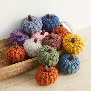 Set of 12 Mini Knit Pumpkins - Rustic Home Decor, Bowl Fillers, Shelf Decor Accents, Fall Wedding Decor, Cozy Home, Garland or Ornaments