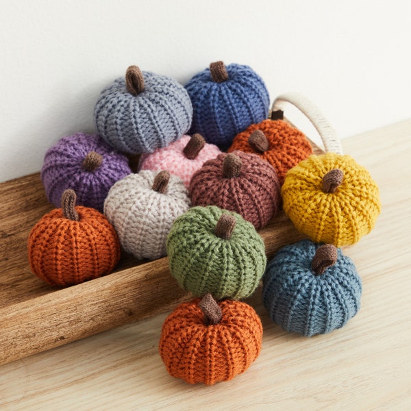 Set of 12 Mini Knit Pumpkins - Rustic Home Decor, Bowl Fillers, Shelf Decor Accents, Fall Wedding Decor, Cozy Home, Garland or Ornaments