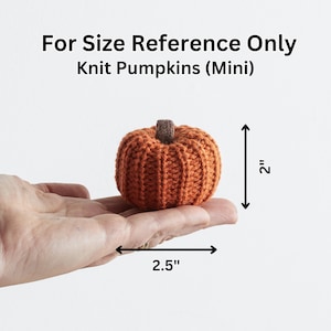 Knit pumpkin garland for mantel 6' garland, fall bookshelf, little pumpkin baby birthday decor, autumn decor garlands, cozy gifts (Honey) image 5