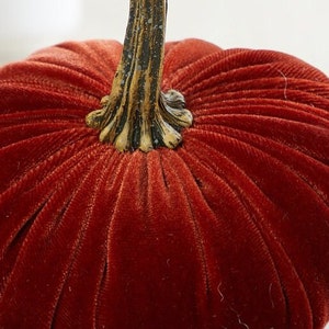 May include: A close-up of a red velvet pumpkin with a gold stem. The pumpkin is made of fabric and has a soft, plush texture.