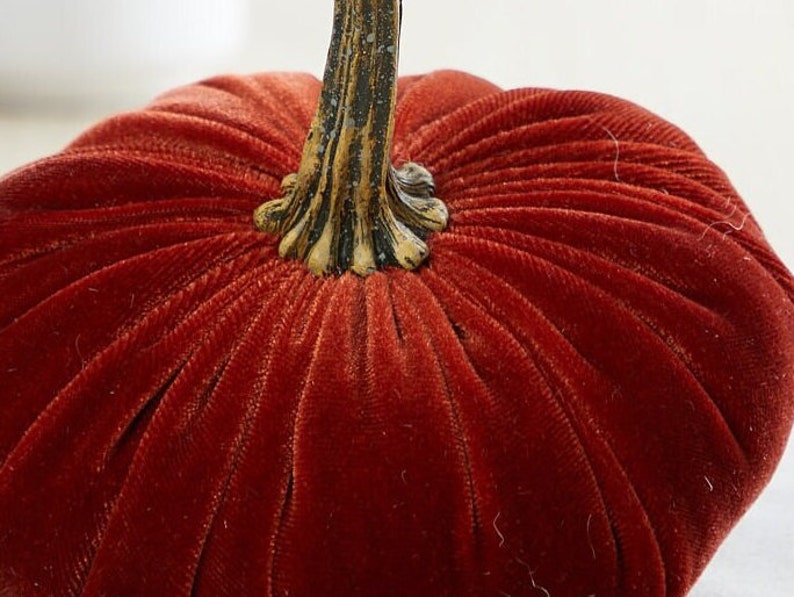 May include: A close-up of a red velvet pumpkin with a gold stem. The pumpkin is made of fabric and has a soft, plush texture.