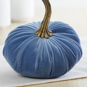 May include: A blue velvet pumpkin with a gold stem. The pumpkin is a decorative item for fall and autumn.