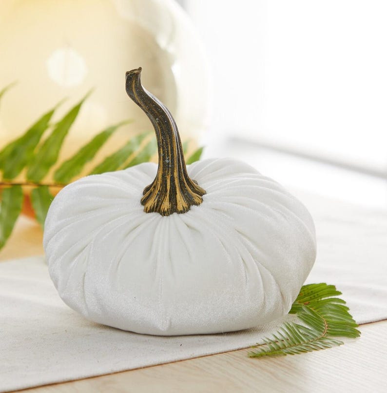 May include: A white velvet pumpkin with a brown and gold stem. The pumpkin is round and has vertical pleats. A green fern leaf is on the right side of the pumpkin. The pumpkin is a decorative item.