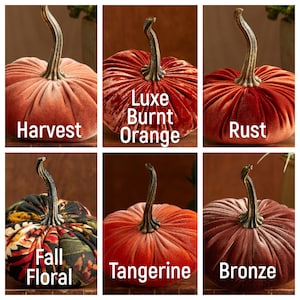 May include: Six velvet pumpkins in various shades of orange and red. The pumpkins are labelled with names like "Harvest", "Luxe Burnt Orange", "Rust", "Fall Floral", "Tangerine", and "Bronze".
