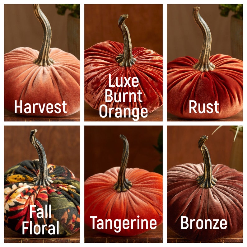 May include: Six velvet pumpkins in various shades of orange and red. The pumpkins are labelled with names like "Harvest", "Luxe Burnt Orange", "Rust", "Fall Floral", "Tangerine", and "Bronze".