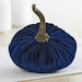 see more listings in the Small Velvet Pumpkins section