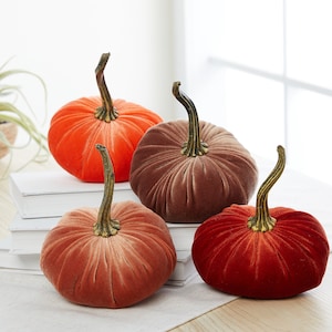 Pu&ograve; includere: Quattro zucche di velluto in diverse tonalit&agrave; di arancione, marrone e rosso. Le zucche sono disposte su una superficie bianca con una pila di libri dietro.