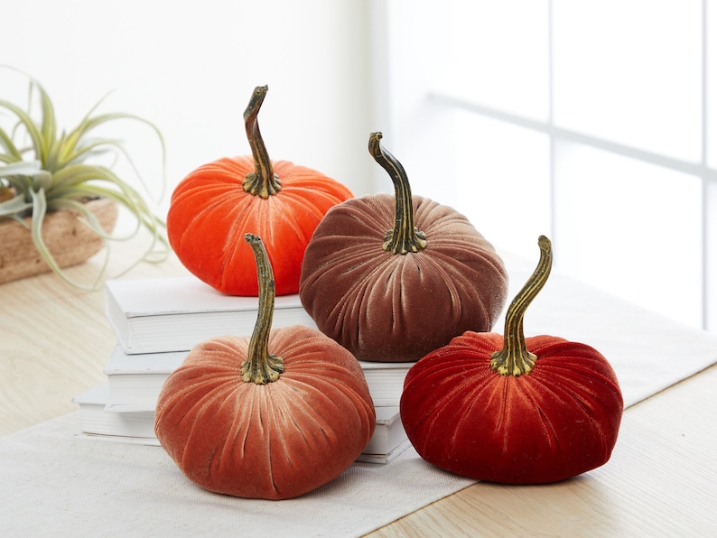 Pu&ograve; includere: Quattro zucche di velluto in diverse tonalit&agrave; di arancione, marrone e rosso. Le zucche sono disposte su una superficie bianca con una pila di libri dietro.