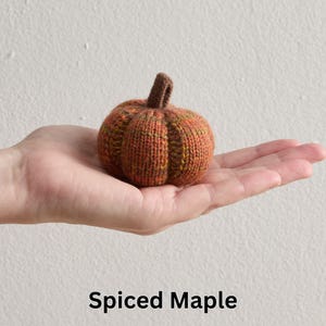 May include: A small, hand-knitted pumpkin in shades of orange, brown, and green, with a textured appearance. The pumpkin is held in a hand, and the text "Spiced Maple" is displayed below the pumpkin.