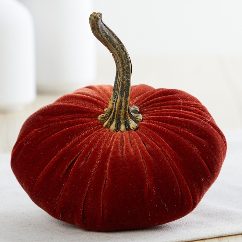 Pu&ograve; includere: Una zucca di velluto rosso con uno stelo marrone. La zucca &egrave; un oggetto decorativo per l'autunno.