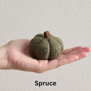 May include: A small, knitted pumpkin in shades of green, with a brown stem. The word "Spruce" is written in black at the bottom of the image. The pumpkin is held in a hand, showcasing its size and texture. A cozy autumn decoration.