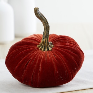 May include: A red velvet pumpkin with a brown stem. The pumpkin is sitting on a white surface.