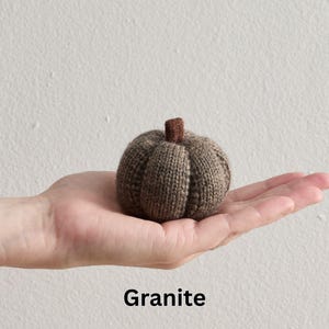 May include: A small, knitted pumpkin in shades of brown and tan, with a dark brown stem. The word "Granite" is displayed in a black font at the bottom of the image. The pumpkin is held in the palm of a hand.